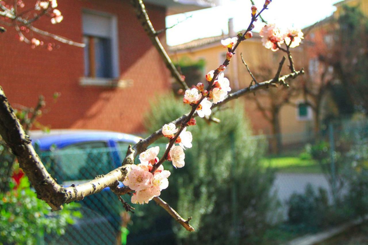 Hiwya - Home Is Where You Are Bologne Extérieur photo